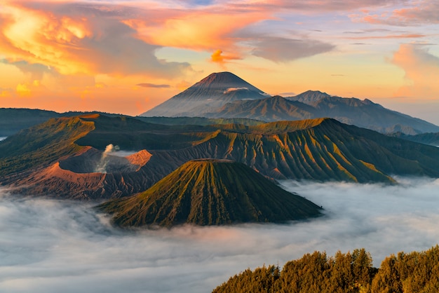 Mountainous landscape with fog