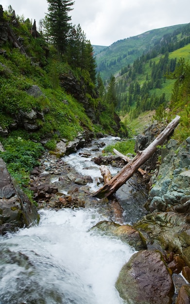 mountains landscape with stream