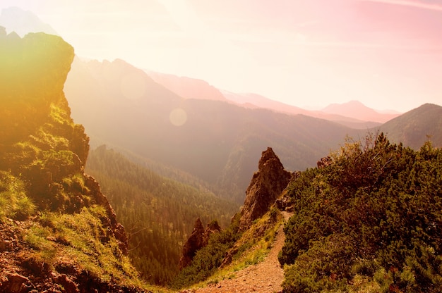 mountains outdoor western green plants