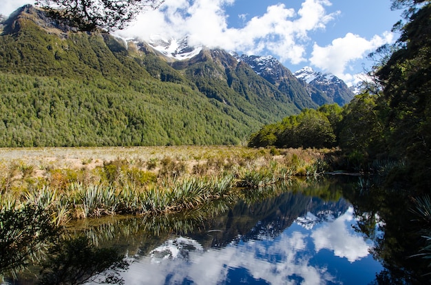 Free photo mountains with snow on its top in milford sound, new zealand