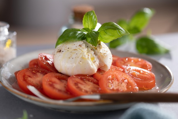 Free photo mozzarella salad with tomatoes and basil