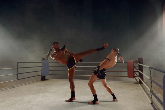 Muay thai thai boxing fighters