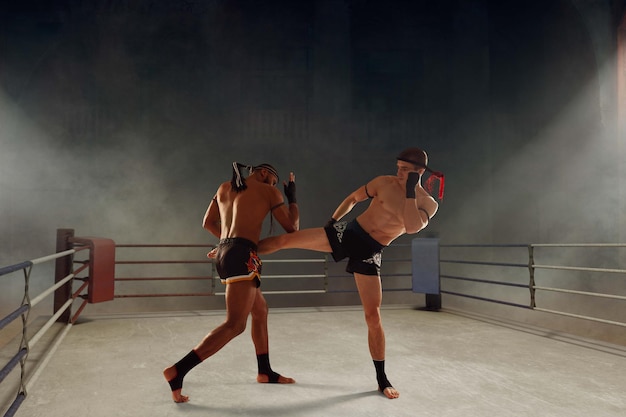 Free photo muay thai thai boxing fighters