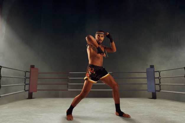 Muay thai thai boxing fighters