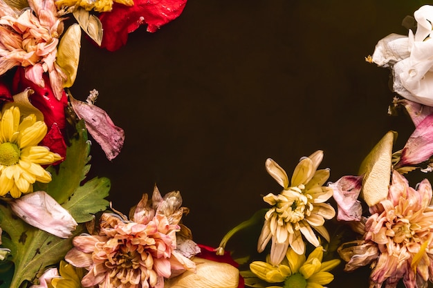 Multi colored flowers in black water with copy space