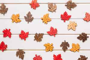 Free photo multicolored maple leaves on white wooden background