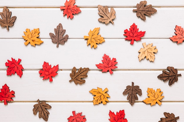 Free Photo multicolored maple leaves on white wooden background