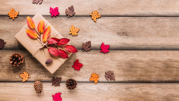 Free Photo multicolourful leaves around carton box