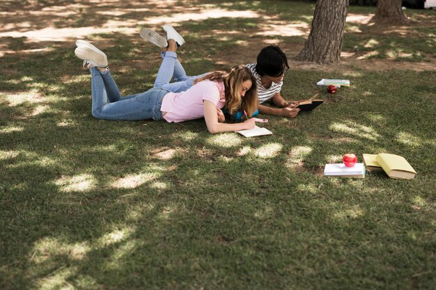 Multiethnic teenage students doing homework