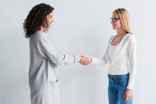 Multiracial smiling employees shaking hands