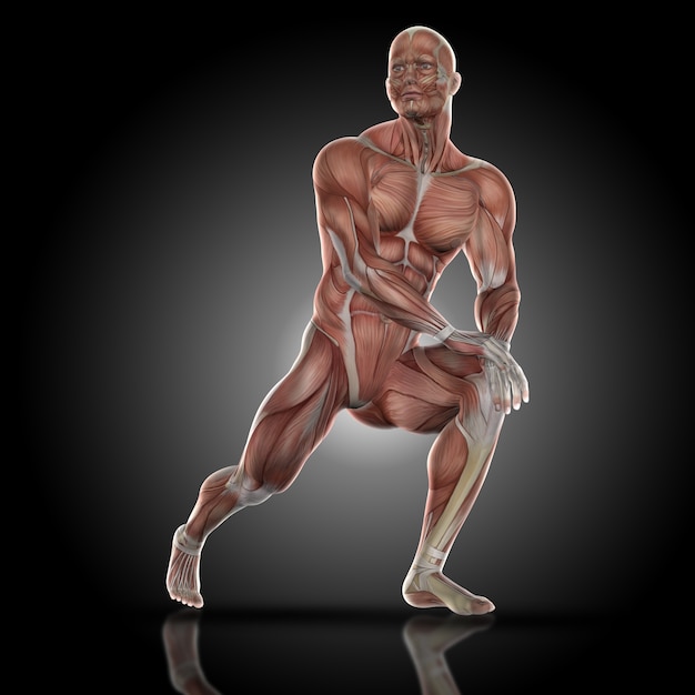 Free Photo muscular man stretching his leg