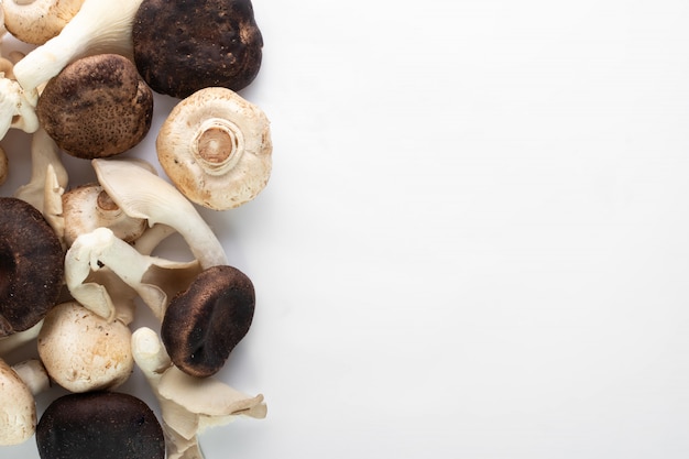 Mushrooms fresh collected white and dark mushrooms on whtie floor