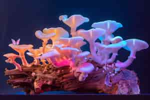 Free photo mushrooms seen with intense brightly colored lights