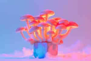 Free photo mushrooms seen with intense brightly colored lights