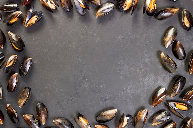 Mussel shells concept with copy space