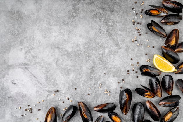 Free photo mussels arrangement with copy space