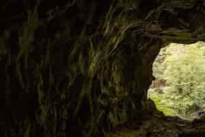 Free photo muzeva hizica cave from the inside with a view to a forest in skrad in croatia