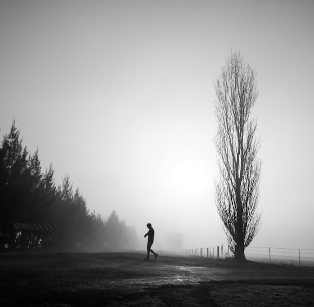 Free photo mysterious greyscale shot of a male walking in a foggy scary field