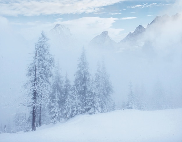 Mysterious winter landscape majestic mountains in the winter.