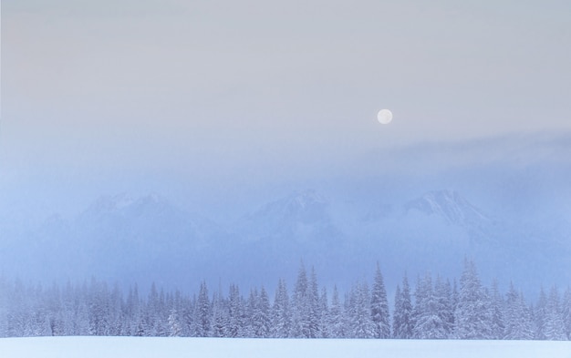 Free photo mysterious winter landscape majestic mountains in the winter.