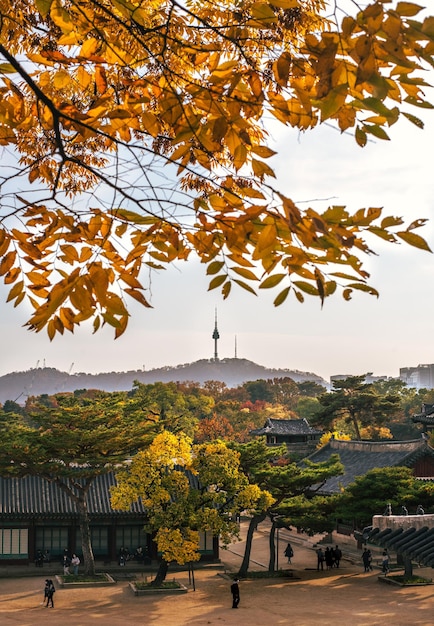 Free Photo namsan tower and changkyunggung with autumn leaves on tree branches foreground in seoul korea