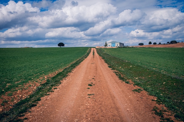 Free photo narrow pathway in a green grassy field under a cloudy sky