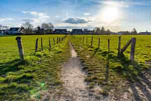 Free photo narrow pathway in the middle of the grassy field under a blue sky