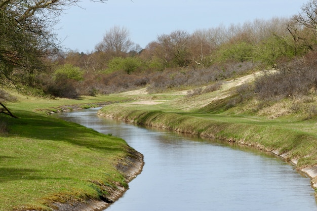 Narrow river in a green land with a lot of trees