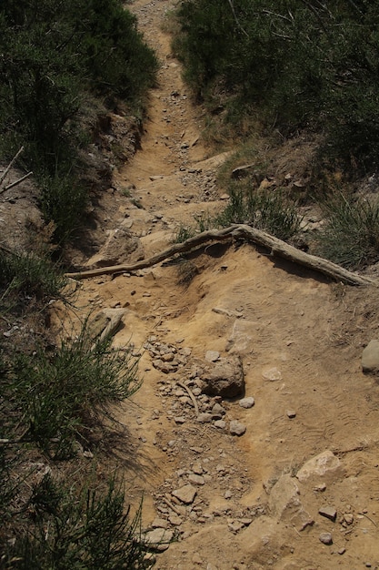 Free photo narrow steep dirt path going down a hill