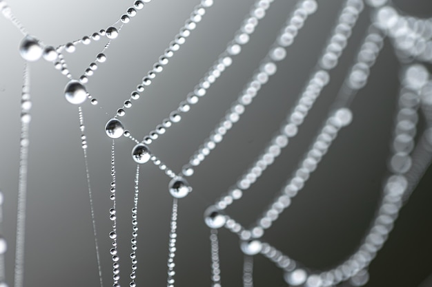 Free photo natural abstract background with crystal dew drops on a spider web.