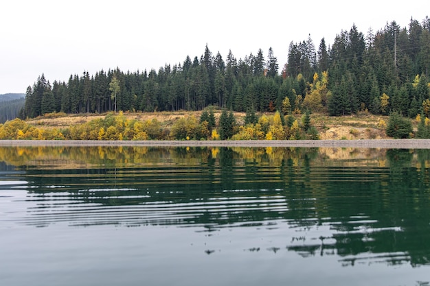 Free photo natural background lake and forest in the mountains in autumn