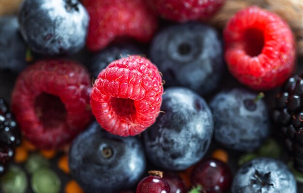 Natural background with different wild berries macro shot