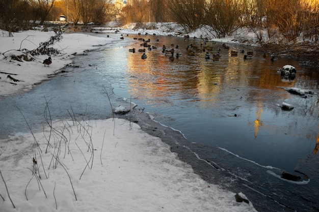 Natural beautiful landscape with river