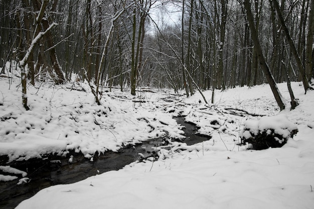 Natural beautiful landscape with river