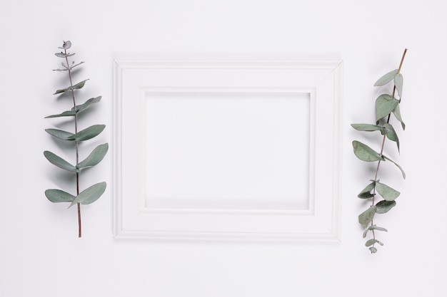 Free photo natural decoration with a frame