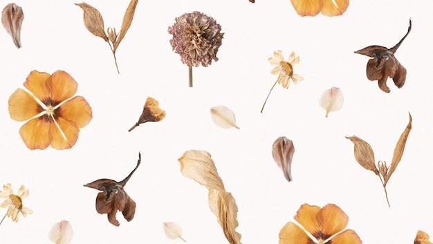 Free Photo natural dried flower wallpaper pattern