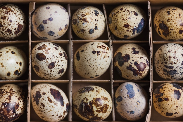 Free photo natural eggs in cardboard