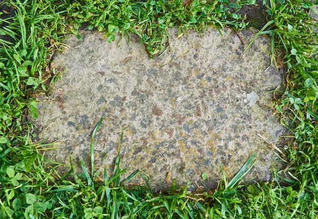 Free photo natural frame paving stones surrounded by green grass