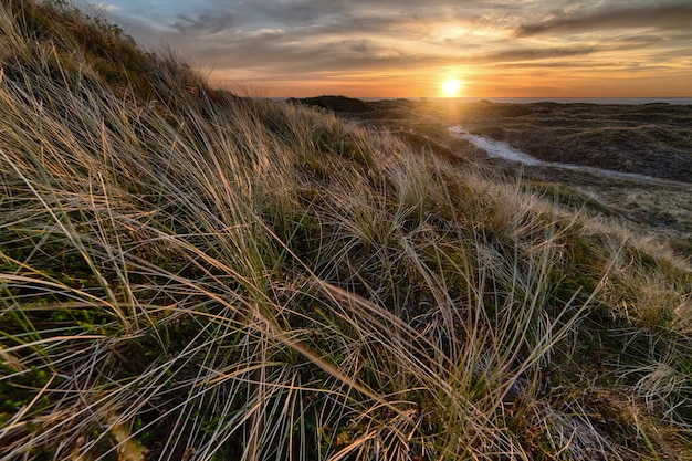 Natural landscape during sunset