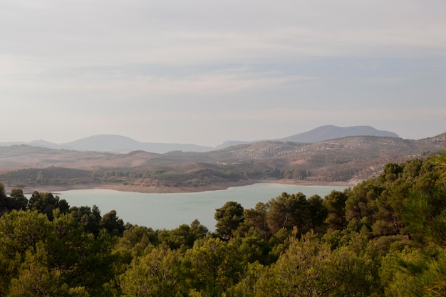 Natural landscape with beautiful vegetation