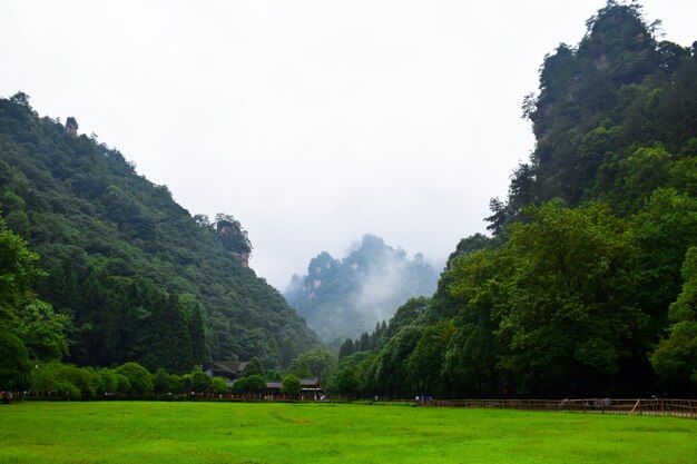 Natural landscape with green mountains