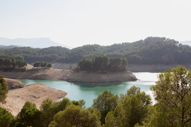 Natural landscape with green trees