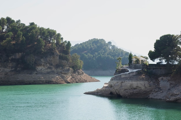 Natural landscape with vegetation