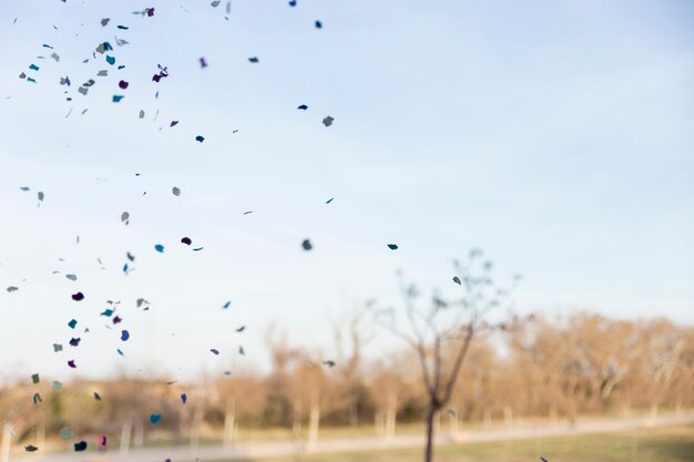 Free photo natural scene with colored papers falling from the sky