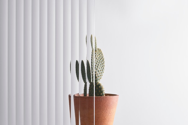 Nature background with leaf behind patterned glass