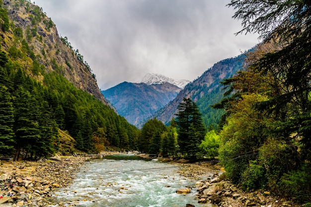 Free Photo nature of the chalal trek trail, sosan, india