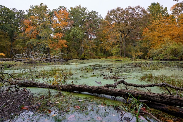 Nature landscape on an autumn day