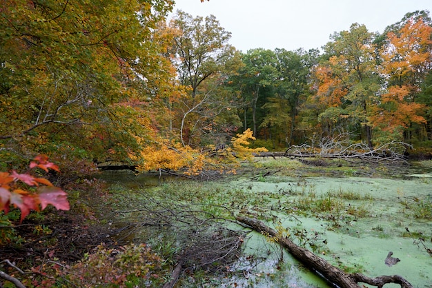 Nature landscape on an autumn day