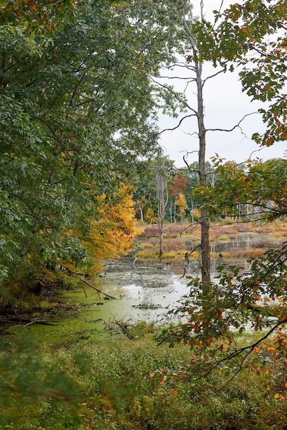 Nature landscape on an autumn day