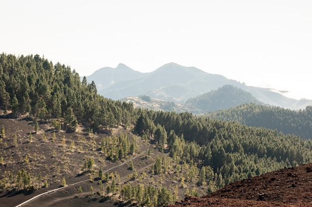 Nature landscape in the mountains